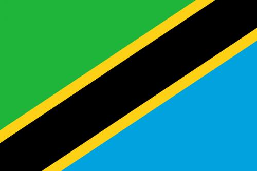 Tanzania's flag