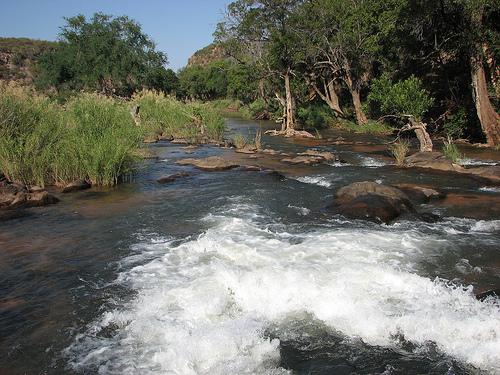 Limpopo